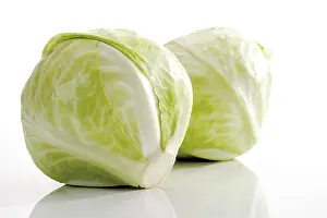 White Cabbage Prints: White cabbage, two heads