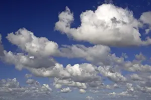 Blue Sky Cumulus Cloud Prints: White clouds in a blue sky