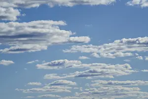 Blue Sky Africa Prints: White clouds float in the blue sky backdrop