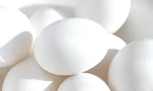 Studio Shot Of Eggs Prints: White eggs