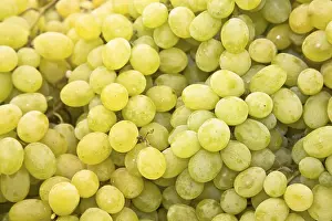 Viniculture Details Prints: White grapes
