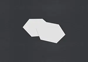 Blank Business Card Template Prints: Two white hexagons slightly overlapping on a gray background