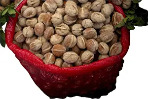 Healthy Eating Walnuts Prints: White isolated walnut for design and project insertion