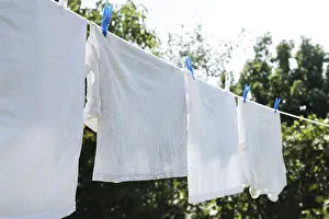 Deserted Clothesline Scene Prints: White laundry hanging string outdoors