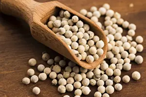 White Peppercorn Prints: White pepercorn