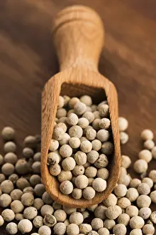 White Peppercorn Prints: White pepercorn