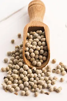 Isolated Pepper Corn Prints: White pepercorn