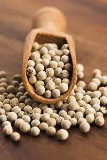 Plain Colored Background Photo Prints: White pepercorn