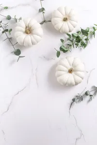 Flat Lay Photography Prints: White pumpkins with eucalyptus branches on white background