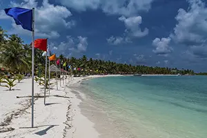 Deserted Coast Of India Prints: White sand beach with many flags