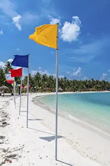 Deserted Sandy Ocean Beach Prints: White sand beach with many flags