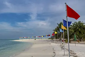 Deserted Sandy Ocean Beach Prints: White sand beach with many flags