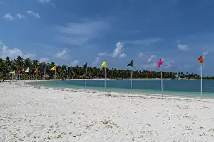 Deserted Sandy Ocean Beach Prints: White sand beach with many flags