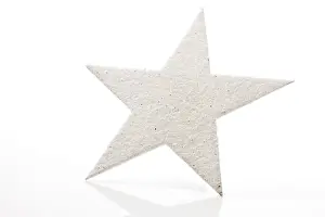 Christmas Season Decorations Prints: White star