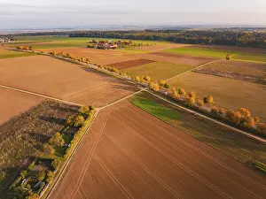 Autumn Trees Germany Prints: Wide fields with autumn trees and a path through a landscape