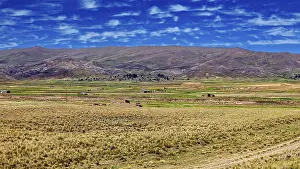 Cloudy Blue Sky Photography Prints: Wide fields against mountains and cloudy blue sky