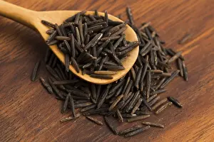 Plain Colored Background Images Prints: Wild rice