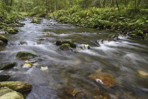Uninhabited Mountain Torrent Prints: Wildbach, Torrent