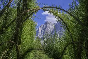 Austria S Hidden Gems Prints: Willow Dome in the background Planspitze