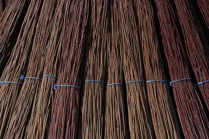 Deciduous Tree Branches Prints: Willow drying, willow bundles in ring drying