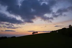 Cloudy Skies Southern Germany Prints: Wind beeches at sunset with cloudy sky in spring