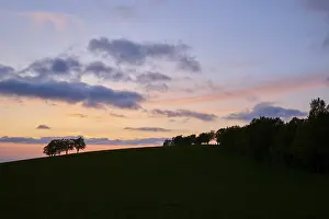Sunset In The Black Forest Prints: Wind beeches at sunset with cloudy sky in spring