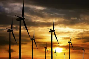 Deserted Windmill Landscape Prints: Wind farm at sunset