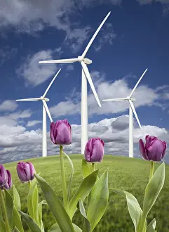 Deserted Skies Prints: Wind turbines against dramatic sky