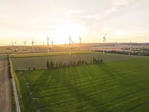 Eco Friendly Wind Turbines Prints: Wind turbines over extensive fields at sunset
