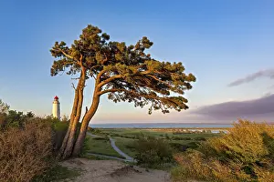 Evening Light Germany Prints: Wind van in the evening light on Hiddensee with the lighthouse