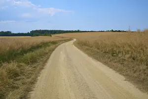 Cloudy Blue Sky Germany Prints: A winding sandy path through vast fields under a cloudy blue sky