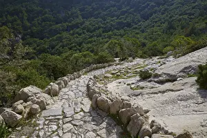 Deserted Greek Village Prints: Winding, stony path through a forest full of rocks