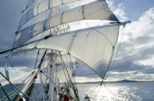 European Sailing Boat Prints: Windjammer under canvas