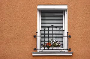 Studio Shot Of Flowers Prints: The window