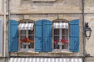 Red Geraniums Prints: Window with blue shutters and red geraniums