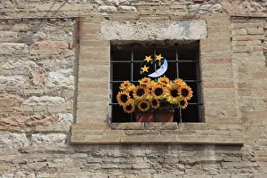 Historic Building Facade Prints: Window with a bunch of plastic flowers