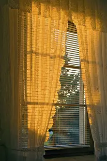 Interior Design Inspiration Prints: Window in the evening light