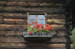 Deserted Timber Building Prints: Window, flower window, rustic, mountain hut