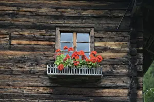 Deserted Timber Building Prints: Window, flower window, rustic, mountain hut