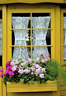 Ornamental Flower Garden Prints: Window with geraniums outside