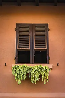 Agricultural Crops In Italy Prints: Window with hops for drying, Italy