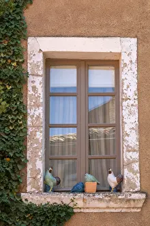 Historic House Facade Prints: Window with various ceramics on windowsill