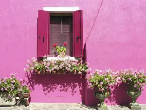Venetian Blind Design Prints: Windows in Burano