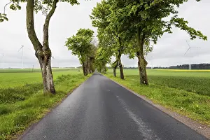Deserted Windmill Prints: Windy Road