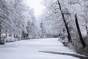 German Countryside Winter Time Prints: Winter
