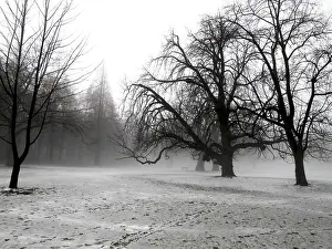 Deserted Winter Landscapes Prints: Winter
