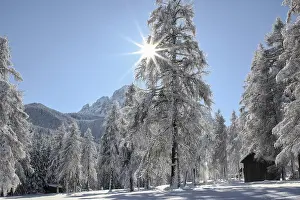 Deserted Winter Wonderland Scene Prints: Winter