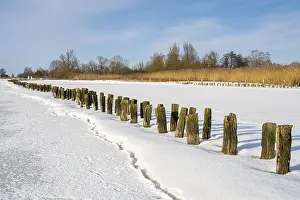 Winter In Lower Saxony Prints: Winter at Dummer, on ice, Eickhopen