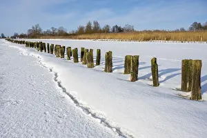 Winter In Lower Saxony Prints: Winter at Dummer, on ice, Eickhopen