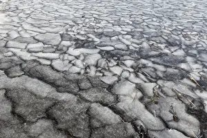 Canadian Winter Landscapes Prints: Winter, ice pattern formation, Chateauguay River